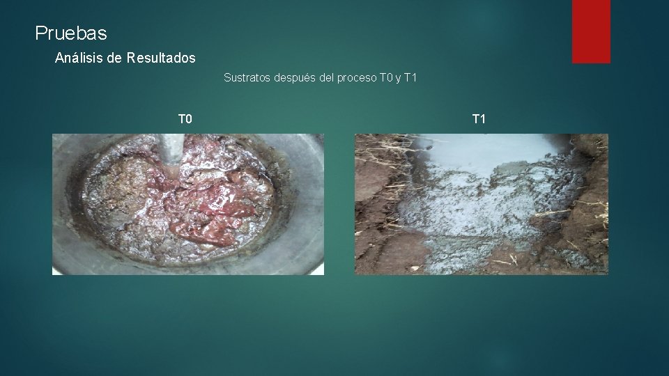 Pruebas Análisis de Resultados Sustratos después del proceso T 0 y T 1 T