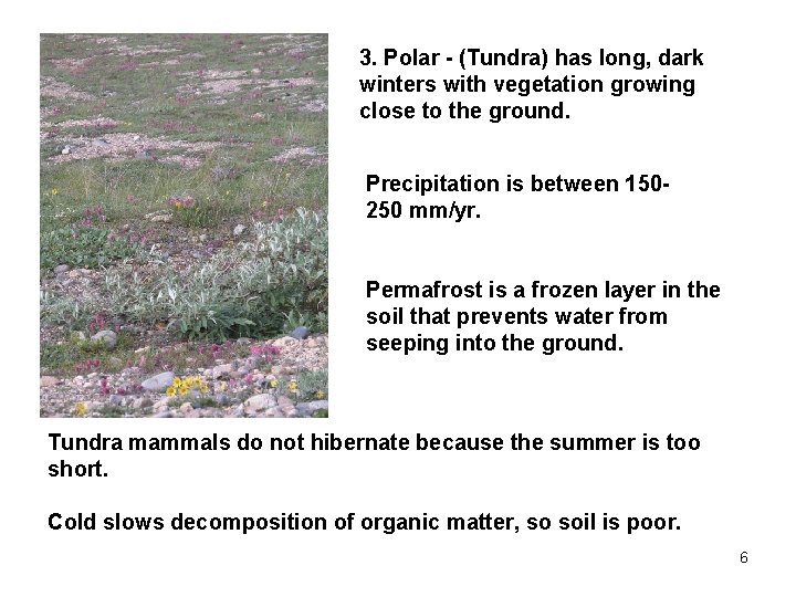 3. Polar - (Tundra) has long, dark winters with vegetation growing close to the