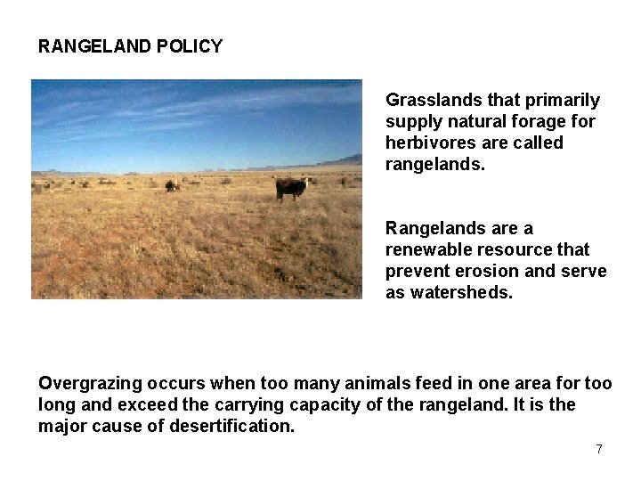 RANGELAND POLICY Grasslands that primarily supply natural forage for herbivores are called rangelands. Rangelands