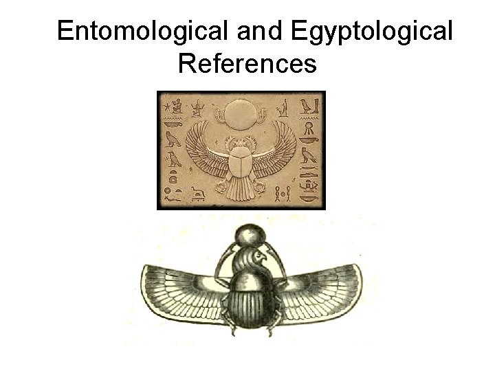  Entomological and Egyptological References 