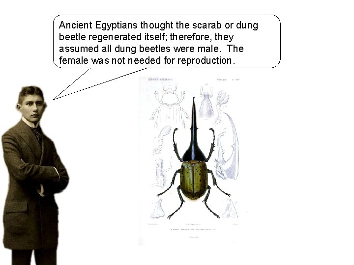 Ancient Egyptians thought the scarab or dung beetle regenerated itself; therefore, they assumed all