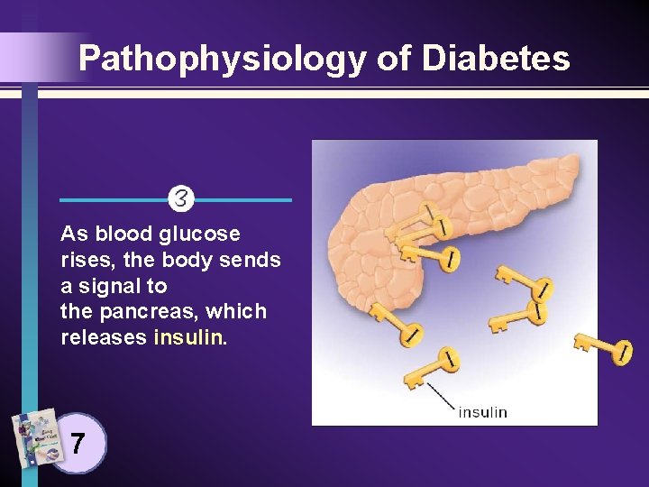 Pathophysiology of Diabetes As blood glucose rises, the body sends a signal to the