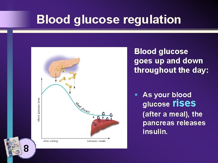 Blood glucose regulation Blood glucose goes up and down throughout the day: § As