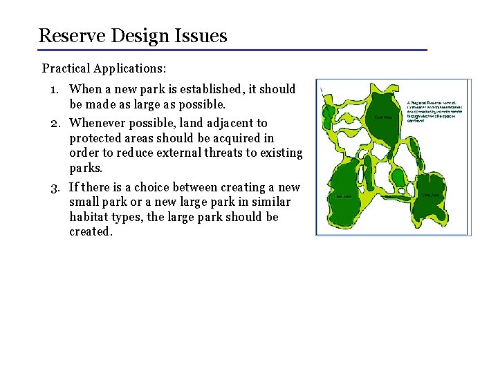 Reserve Design Issues Practical Applications: 1. When a new park is established, it should