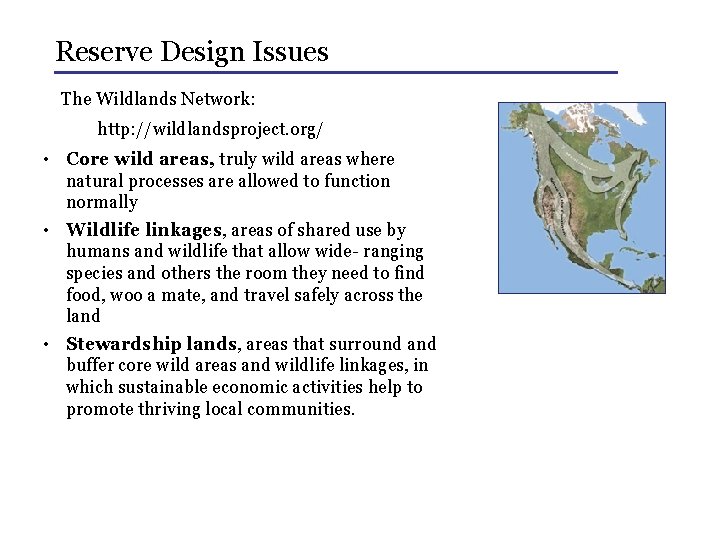 Reserve Design Issues The Wildlands Network: http: //wildlandsproject. org/ • Core wild areas, truly