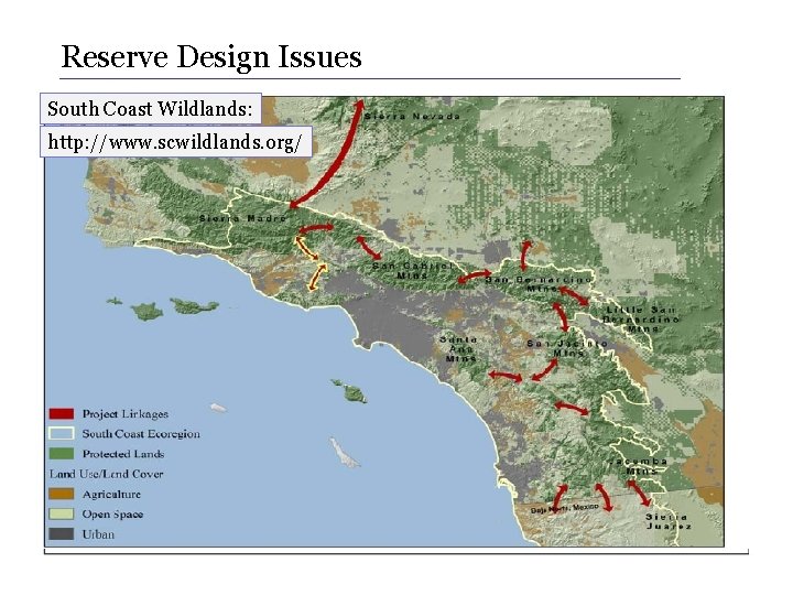 Reserve Design Issues South Coast Wildlands: http: //www. scwildlands. org/ 