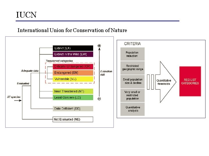 IUCN International Union for Conservation of Nature 