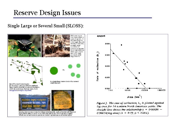 Reserve Design Issues Single Large or Several Small (SLOSS): 