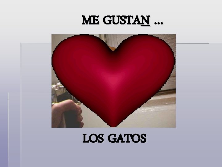 ME GUSTAN … LOS GATOS 