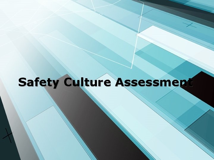 Safety Culture Assessment 
