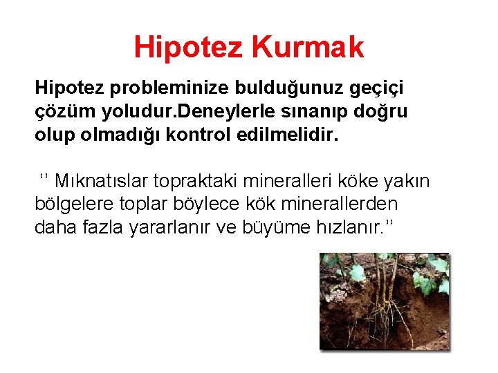 Hipotez Kurmak Hipotez probleminize bulduğunuz geçiçi çözüm yoludur. Deneylerle sınanıp doğru olup olmadığı kontrol