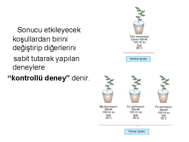 Sonucu etkileyecek koşullardan birini değiştirip diğerlerini sabit tutarak yapılan deneylere. “kontrollü deney” denir. 