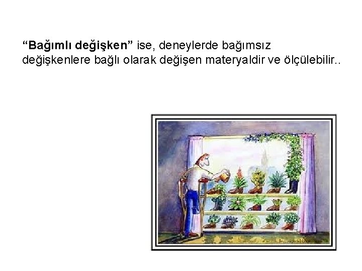 “Bağımlı değişken” ise, deneylerde bağımsız değişkenlere bağlı olarak değişen materyaldir ve ölçülebilir. . “Bağımlı değişken” ise, deneylerde bağımsız değişkenlere bağlı olarak değişen materyaldir ve ölçülebilir. .