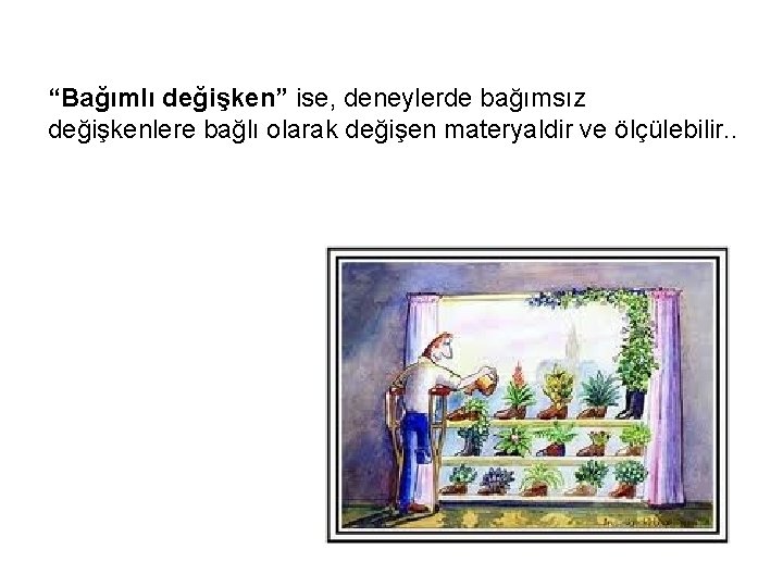 “Bağımlı değişken” ise, deneylerde bağımsız değişkenlere bağlı olarak değişen materyaldir ve ölçülebilir. . 