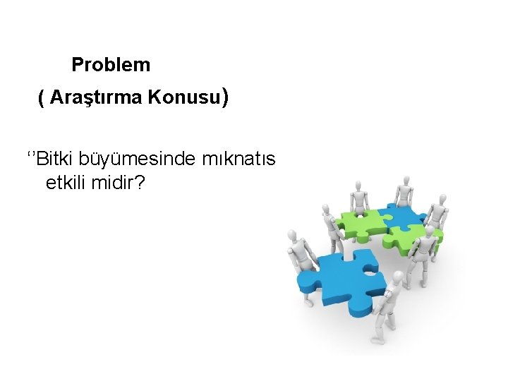 Problem ( Araştırma Konusu) ‘’Bitki büyümesinde mıknatıs etkili midir? 