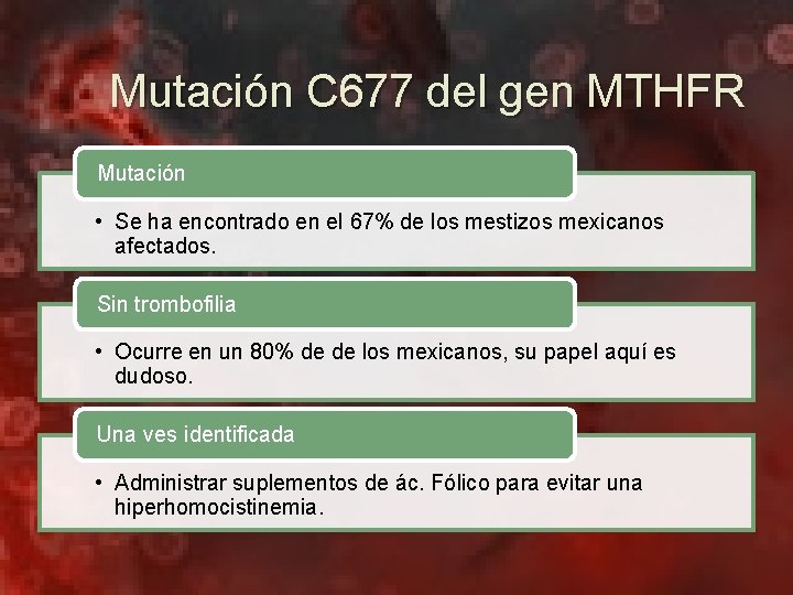 Mutación C 677 del gen MTHFR Mutación • Se ha encontrado en el 67%