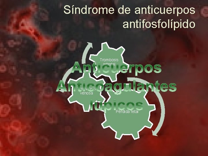 Síndrome de anticuerpos antifosfolípido Trombosis arterial Trombosis venosa Pérdida fetal 