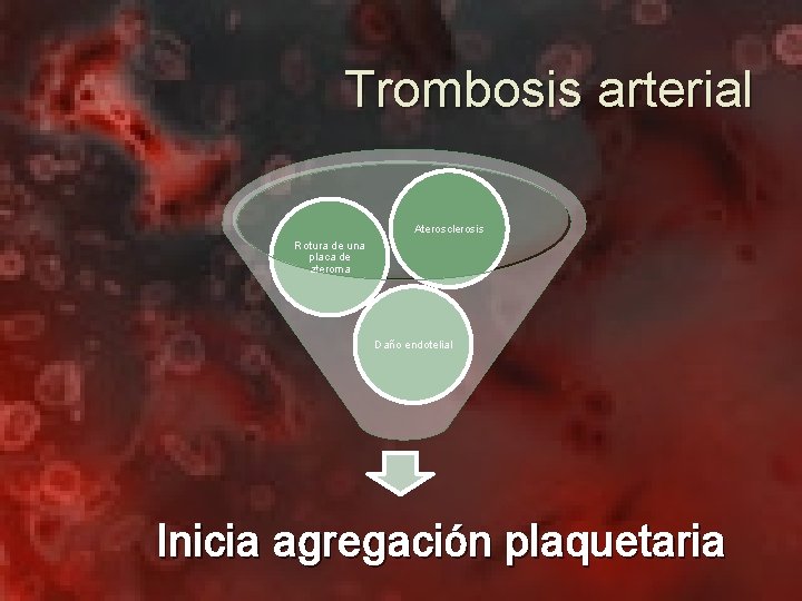 Trombosis arterial Aterosclerosis Rotura de una placa de ateroma Daño endotelial Inicia agregación plaquetaria