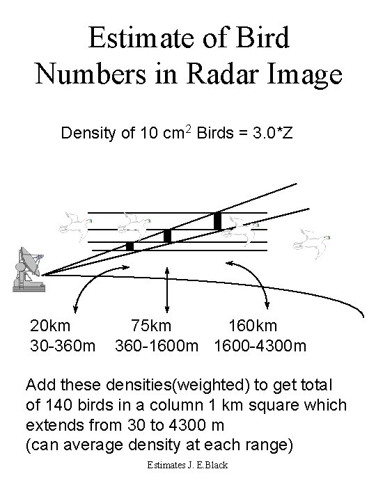 Estimate of Bird Numbers in Radar Image Density of 10 cm 2 Birds =