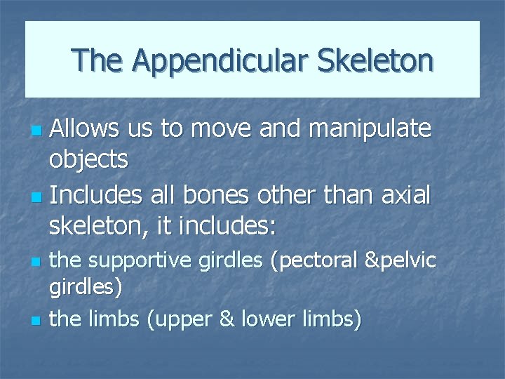The Appendicular Skeleton Allows us to move and manipulate objects n Includes all bones