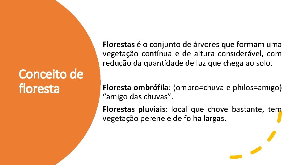 Conceito de floresta Florestas é o conjunto de árvores que formam uma vegetação contínua