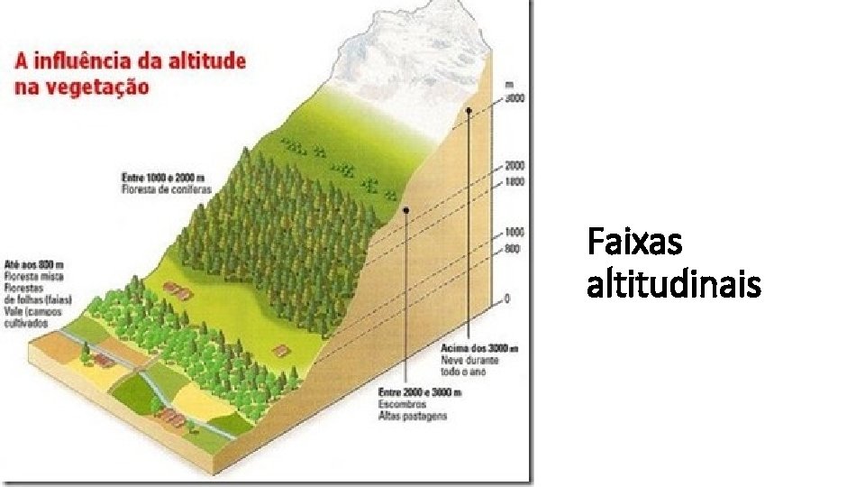 Faixas altitudinais 