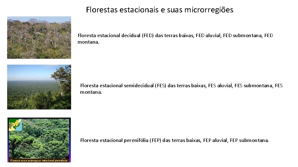 Florestas estacionais e suas microrregiões Florestacional decidual (FED) das terras baixas, FED aluvial, FED