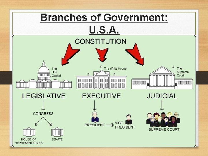 Branches of Government: U. S. A. 