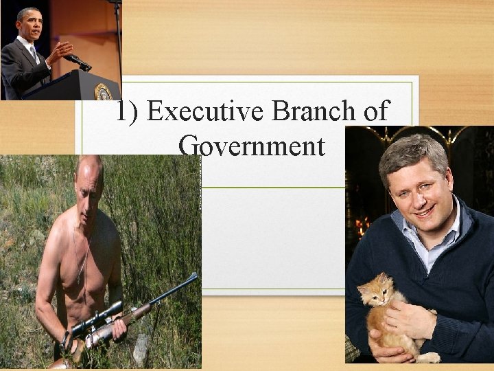 1) Executive Branch of Government 