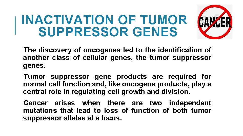 INACTIVATION OF TUMOR SUPPRESSOR GENES The discovery of oncogenes led to the identification of