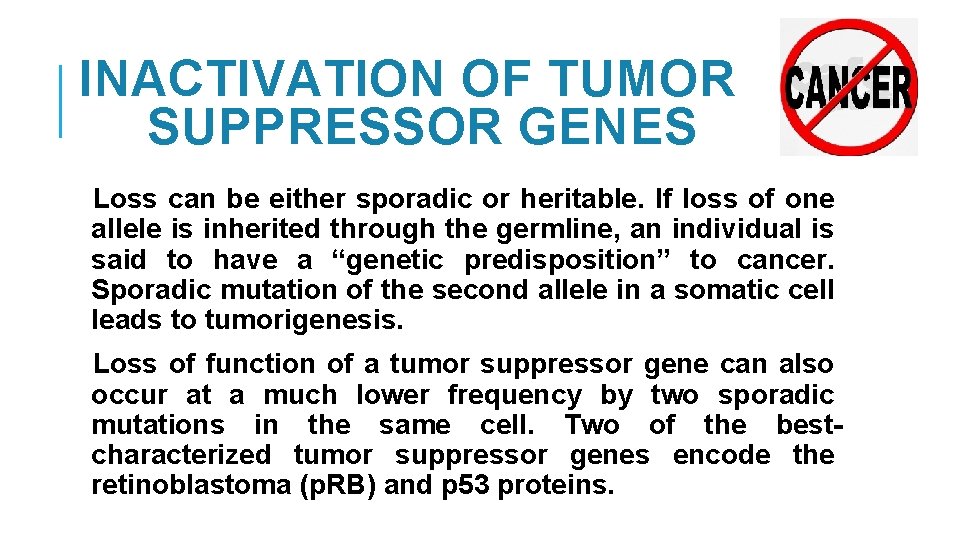 INACTIVATION OF TUMOR SUPPRESSOR GENES Loss can be either sporadic or heritable. If loss