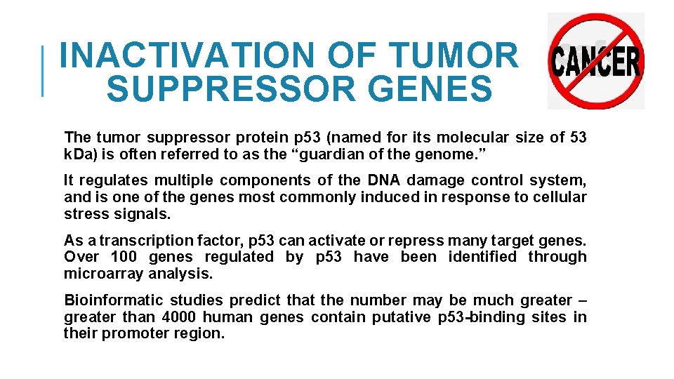 INACTIVATION OF TUMOR SUPPRESSOR GENES The tumor suppressor protein p 53 (named for its