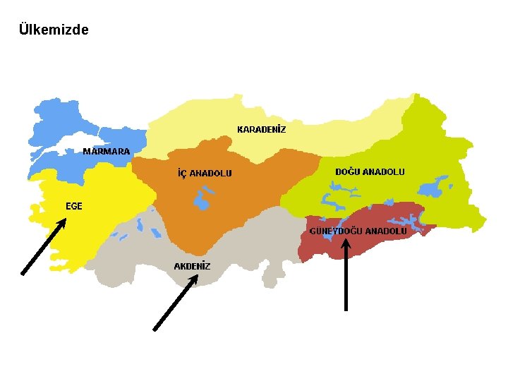 Ülkemizde 
