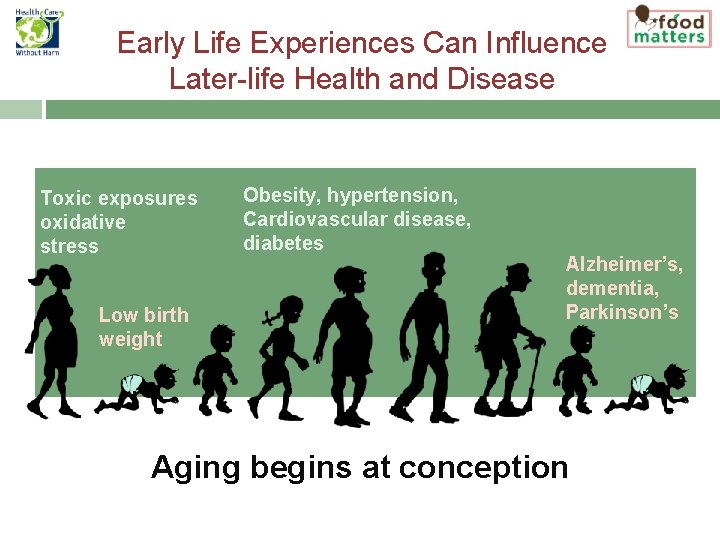 Early Life Experiences Can Influence Later-life Health and Disease Toxic exposures oxidative stress Low