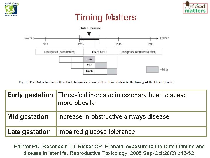 Timing Matters Early gestation Three-fold increase in coronary heart disease, more obesity Mid gestation