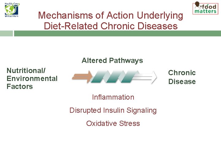 Mechanisms of Action Underlying Diet-Related Chronic Diseases Altered Pathways Nutritional/ Environmental Factors Chronic Disease