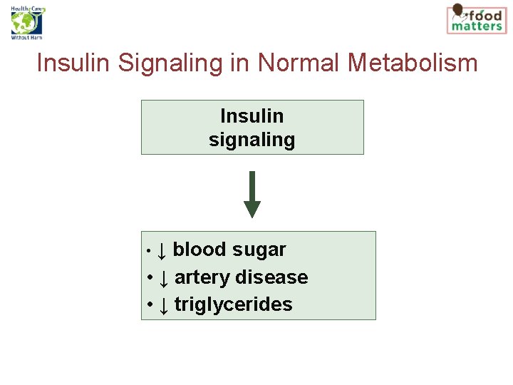 Insulin Signaling in Normal Metabolism Insulin signaling ↓ blood sugar • ↓ artery disease