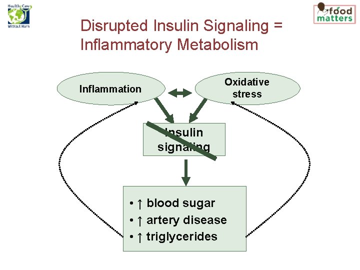 Disrupted Insulin Signaling = Inflammatory Metabolism Oxidative stress Inflammation Insulin signaling • ↑ blood