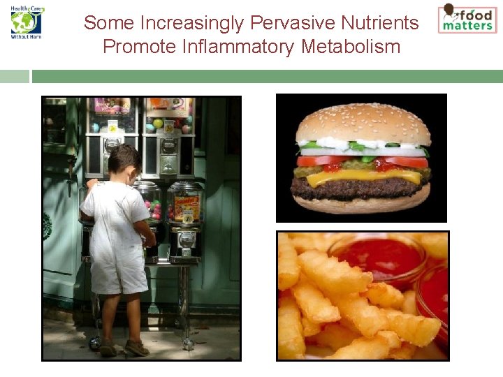 Some Increasingly Pervasive Nutrients Promote Inflammatory Metabolism 