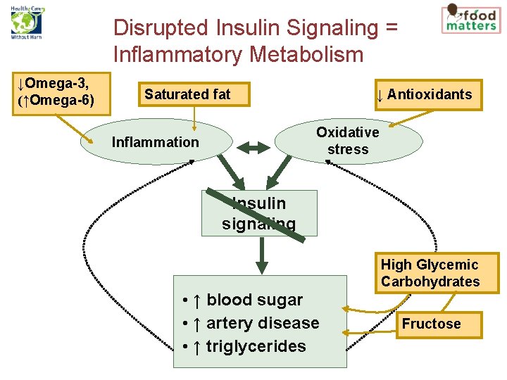 Disrupted Insulin Signaling = Inflammatory Metabolism ↓Omega-3, (↑Omega-6) Saturated fat ↓ Antioxidants Oxidative stress