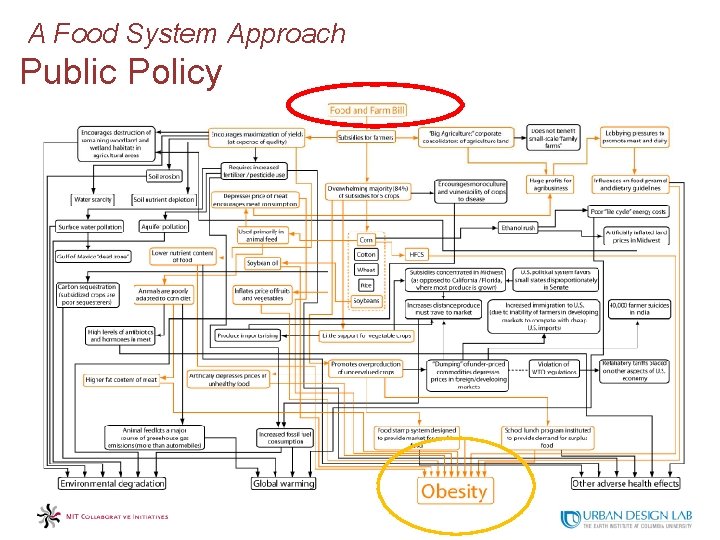 A Food System Approach Public Policy 