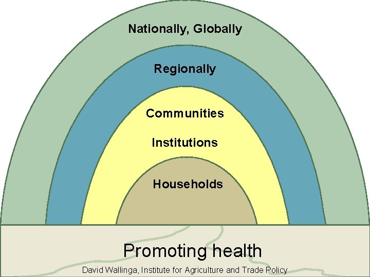 Nationally, Globally Regionally Communities Institutions Households Promoting health David Wallinga, Institute for Agriculture and