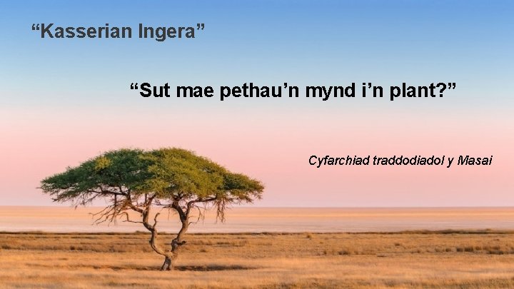 “Kasserian Ingera” “Sut mae pethau’n mynd i’n plant? ” Cyfarchiad traddodiadol y Masai 