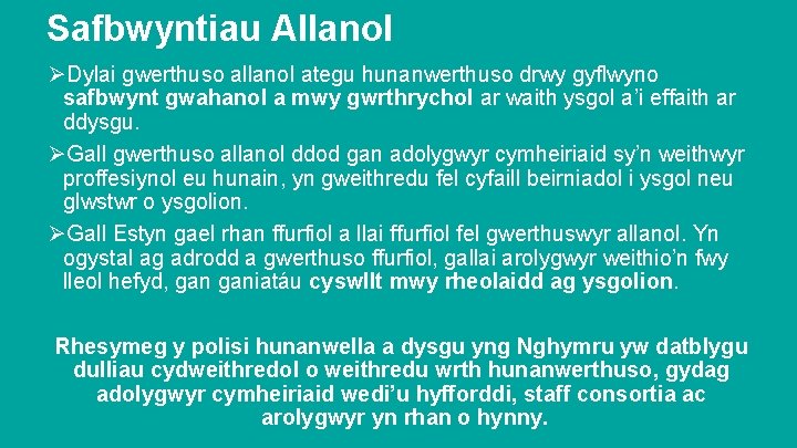 Safbwyntiau Allanol ØDylai gwerthuso allanol ategu hunanwerthuso drwy gyflwyno safbwynt gwahanol a mwy gwrthrychol
