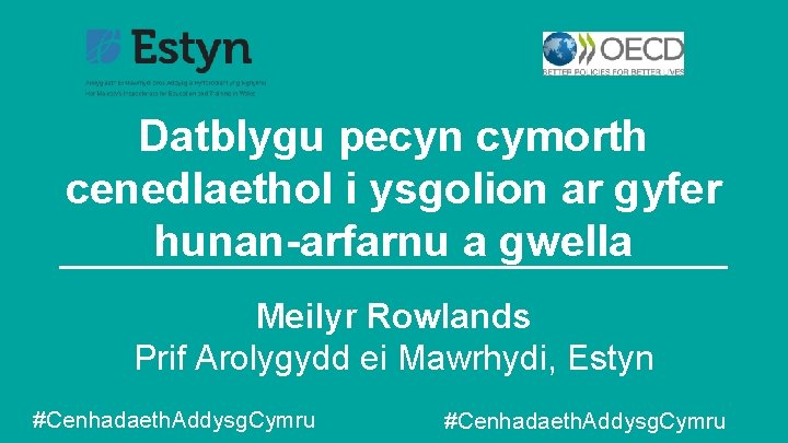 Datblygu pecyn cymorth cenedlaethol i ysgolion ar gyfer hunan-arfarnu a gwella Meilyr Rowlands Prif