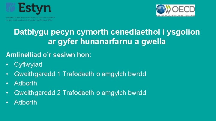 Datblygu pecyn cymorth cenedlaethol i ysgolion ar gyfer hunanarfarnu a gwella Amlinelliad o’r sesiwn