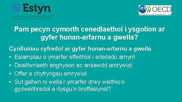 Pam pecyn cymorth cenedlaethol i ysgolion ar gyfer hunan-arfarnu a gwella? Cynlluniau cyfredol ar