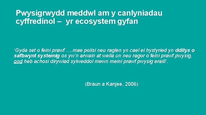 Pwysigrwydd meddwl am y canlyniadau cyffredinol – yr ecosystem gyfan ‘Gyda set o feini