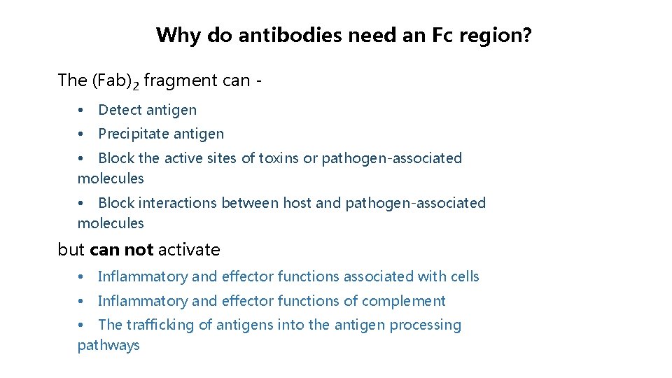 Why do antibodies need an Fc region? The (Fab)2 fragment can • Detect antigen