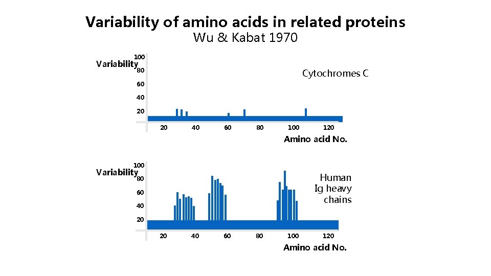 Variability of amino acids in related proteins Wu & Kabat 1970 100 Variability 80